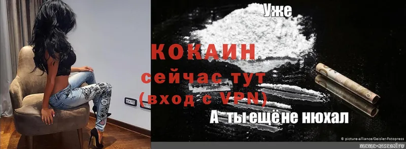 дарнет шоп  Геленджик  Cocaine VHQ 